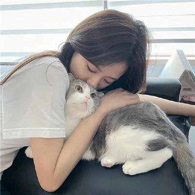 敌对边境